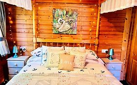 Secluded Rustic Cabin - A Digital Detox Paradise.